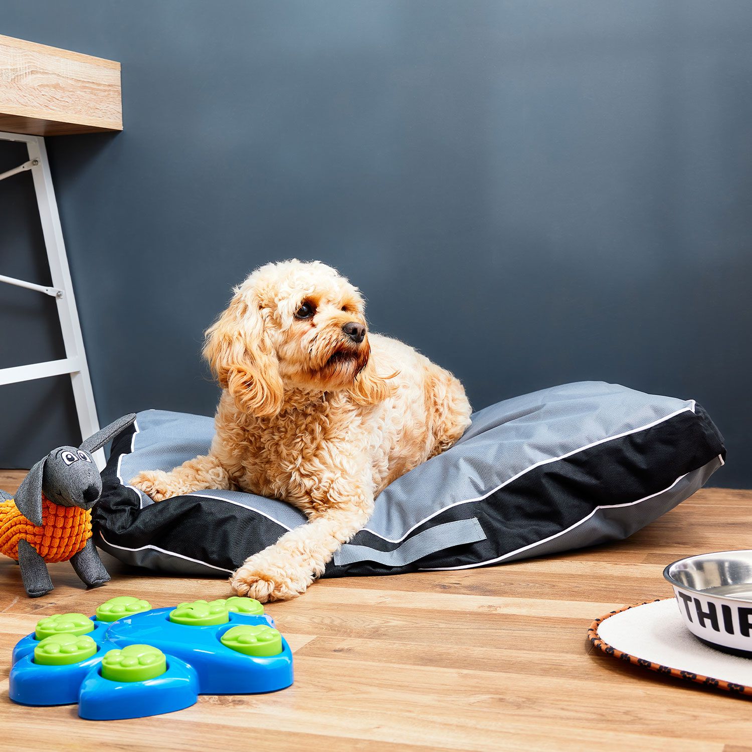 Pet cushion on sale bed
