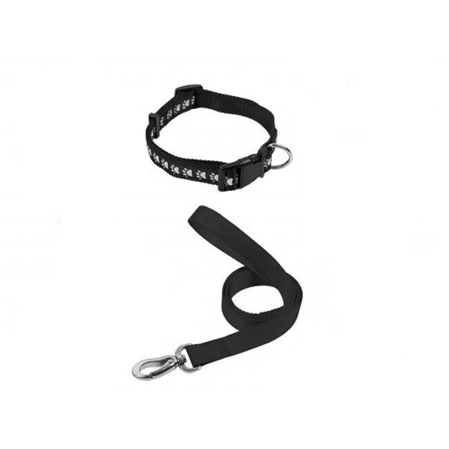 Smart Choice Dog Lead & Collar Set