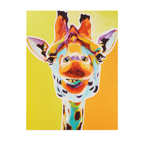 Funky Giraffe 60cm x 80cm