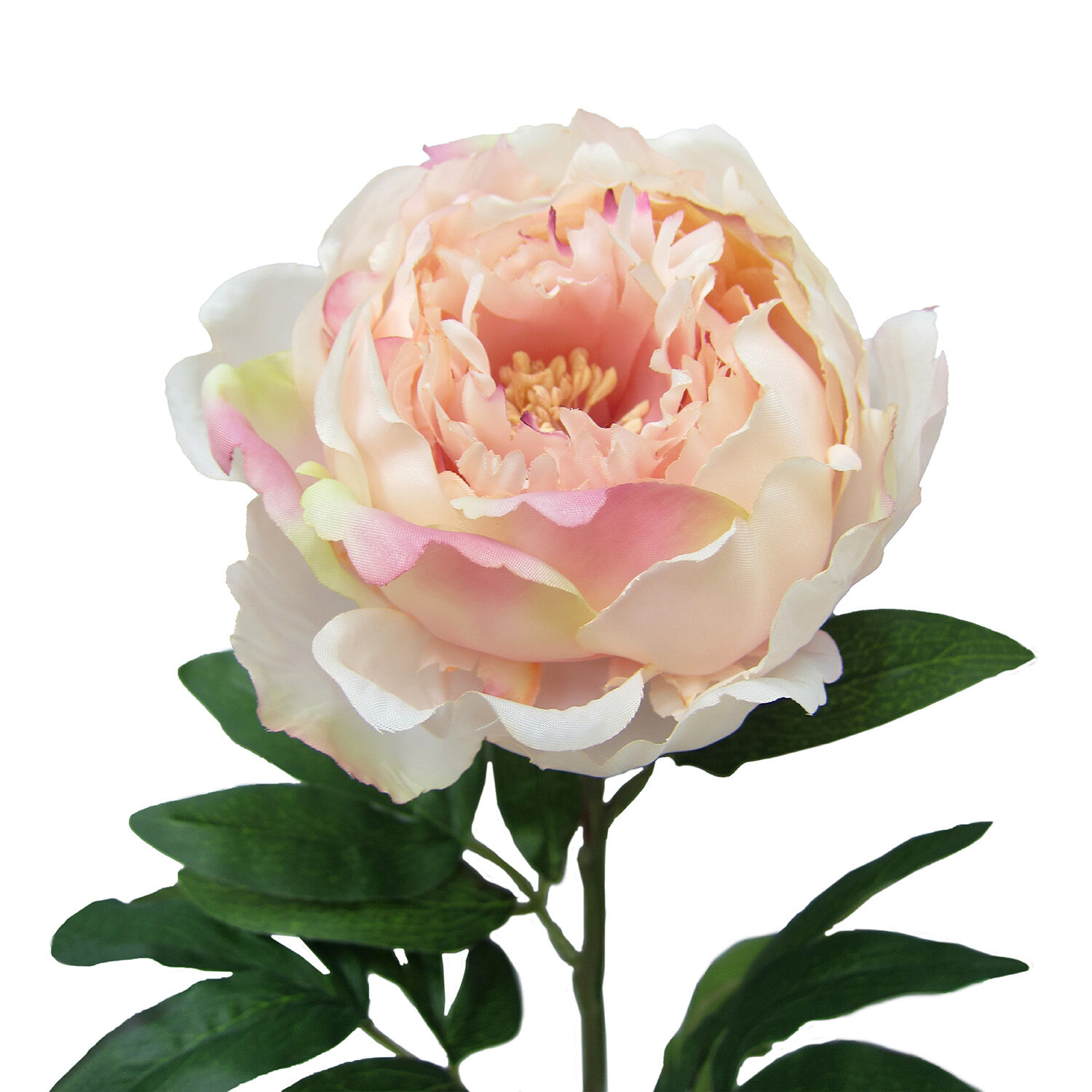 Peony Single Stem Pink Flower 74cm