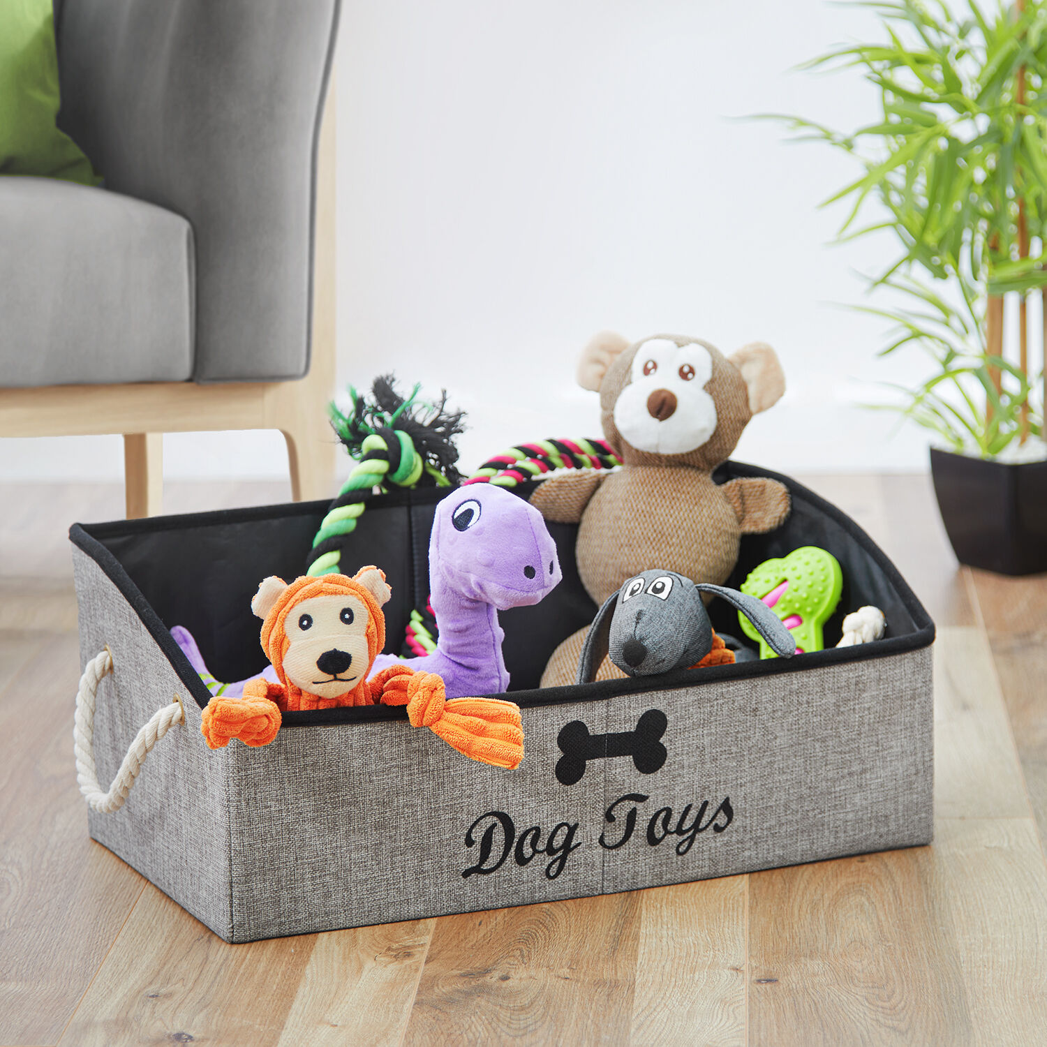 Toy box for dogs hotsell
