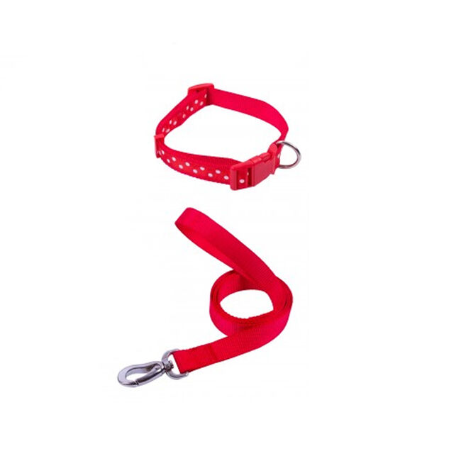 Smart Choice Dog Lead & Collar Set