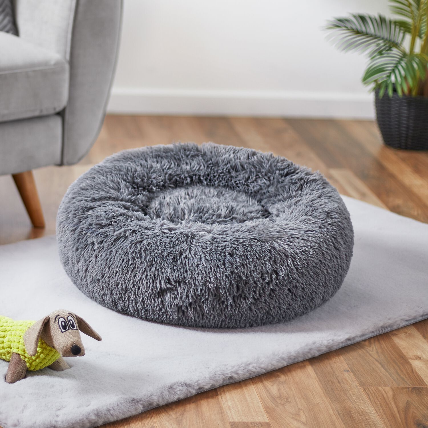 Dog beds homestore and cheap more