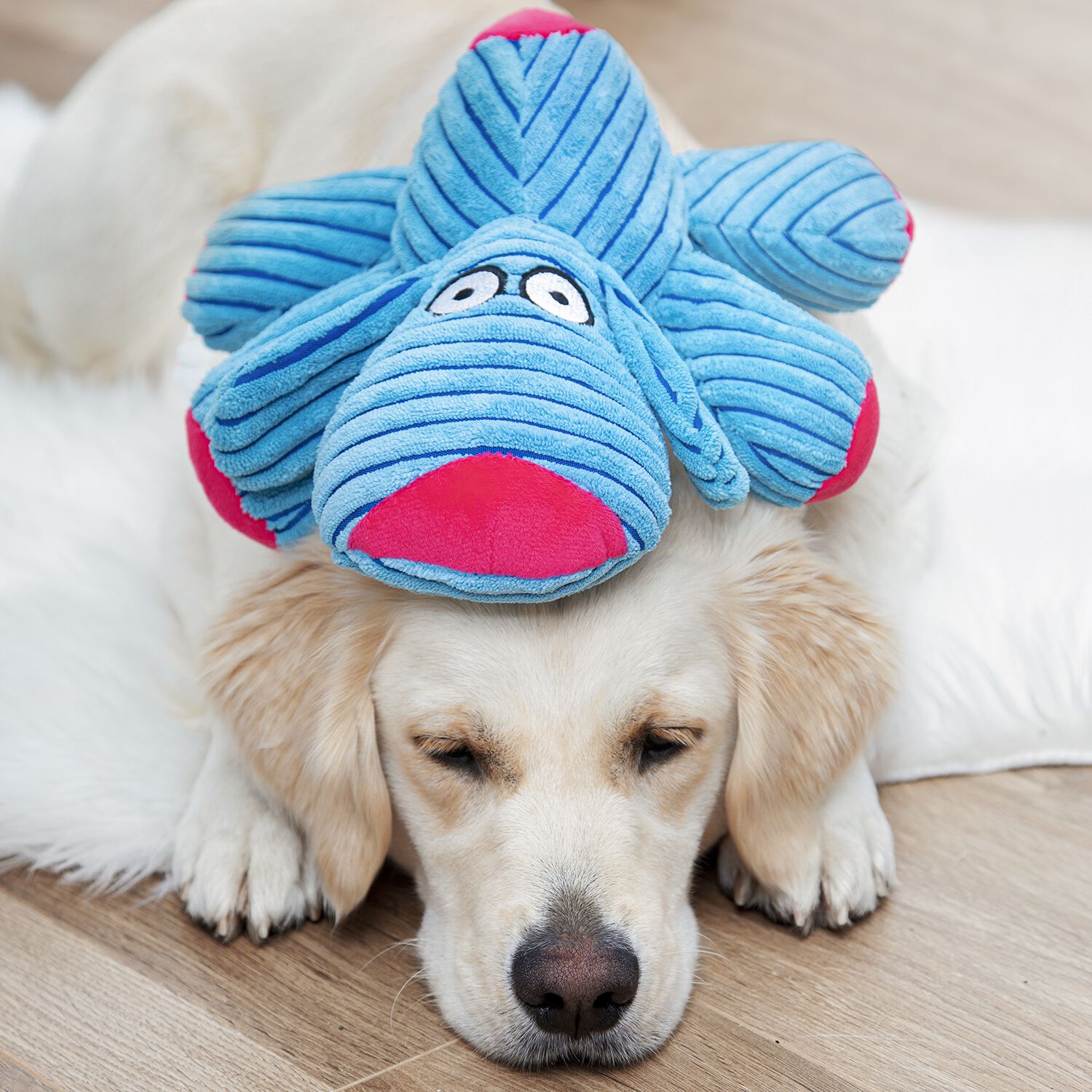 Corduroy Dog Pet Plush Toy Home Store More