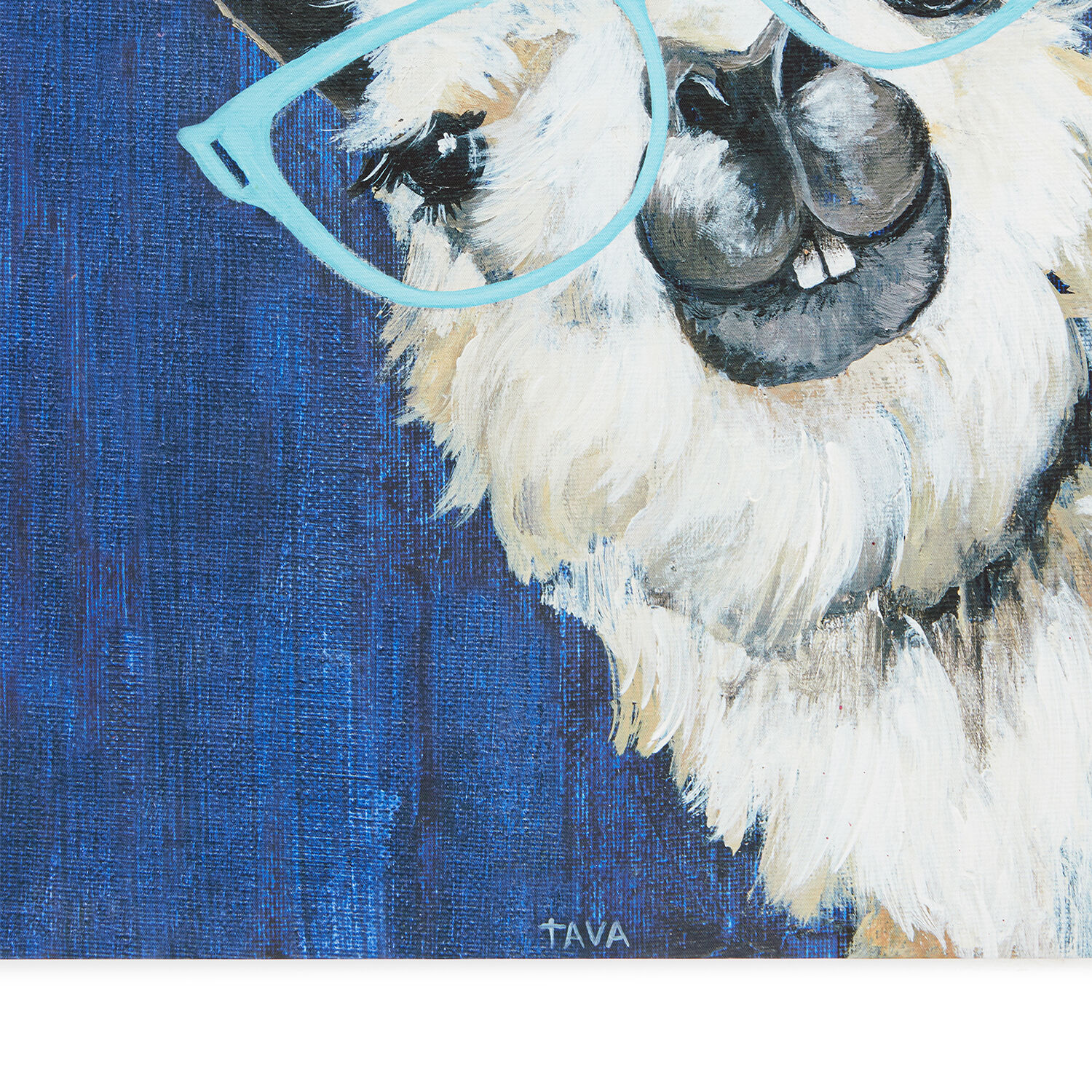 Funky Llama Canvas 70 x 70cm - Home Store + More