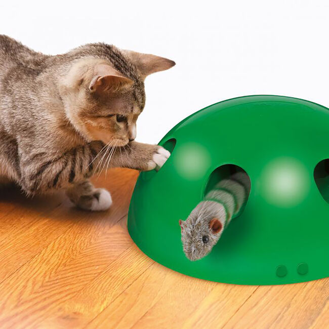 JML Pop N Play - Cat Toy